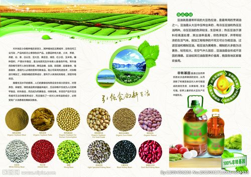 简约风农产品宣传折页设计图__海报设计_广告设计_设计图库_昵图网