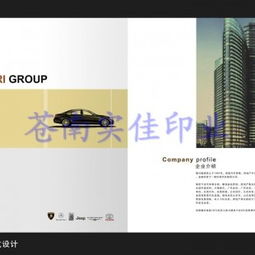 浙江企业宣传画册印刷纸袋印刷 温州广告画册印刷厂 温州广告画供应商 苍南县龙港镇实佳纸塑制品厂